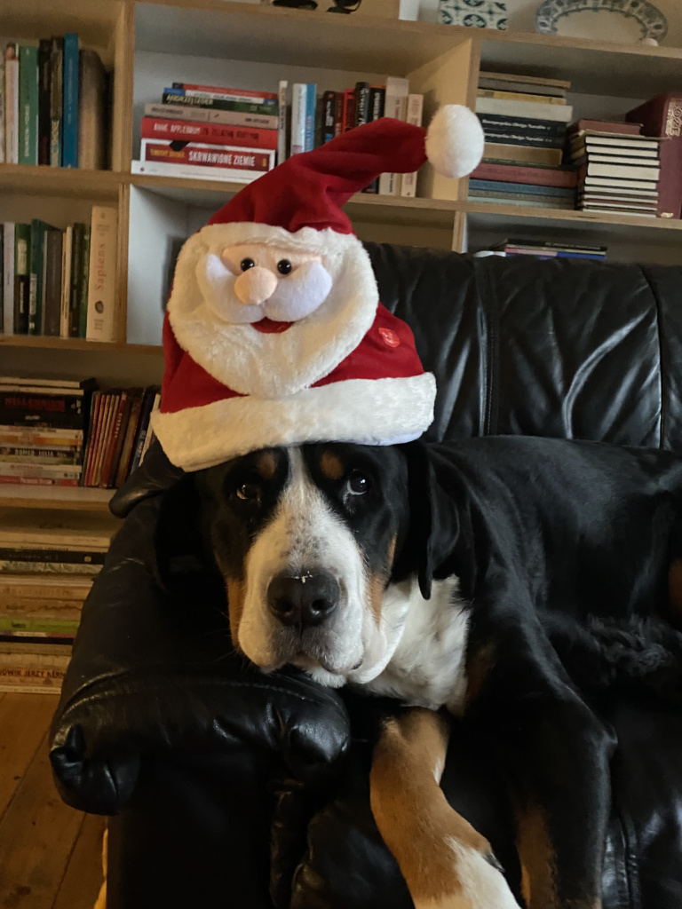 {:pl}Życzenia Świąteczne{:}{:de}Weihnachten 2021{:}